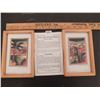 Image 1 : LOT 971 MEXICAN STRAW ARTWORKS WITH DESCRIPTION