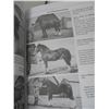 Image 3 : Harnessed To Our Hearts - New Book - Horse Related - Lots of Vintage Photo's