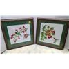 Image 1 : 2 humming bird cross stitch pictures 12"x12"