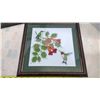 Image 2 : 2 humming bird cross stitch pictures 12"x12"