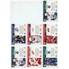 Image 42 : Large Lot of NHL Hockey Cards - Various Brands - 1991-2020 - In Binder