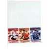 Image 66 : Large Lot of NHL Hockey Cards - Various Brands - 1991-2020 - In Binder
