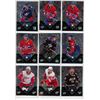 Image 28 : Large Lot of NHL Hockey Cards (Misc. Brands + Years) in Binder