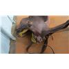 Image 3 : Horse Saddle