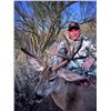 Image 2 : Mexico Coues Deer Hunt