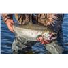 Image 3 : Kodiak Island Fly Fishing for 2