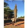 Image 3 : NITRO SAFARIS SOUTH AFRICAN 7 DAY HUNT 2 HUNTERS 
