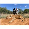 Image 9 : NITRO SAFARIS SOUTH AFRICAN 7 DAY HUNT 2 HUNTERS 