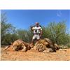Image 10 : NITRO SAFARIS SOUTH AFRICAN 7 DAY HUNT 4 HUNTERS 