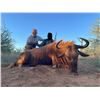Image 7 : NITRO SAFARIS SOUTH AFRICAN 7 DAY HUNT 4 HUNTERS 
