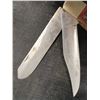 Image 2 : VERY LARGE FOLDING KNIFE 7" BLADES