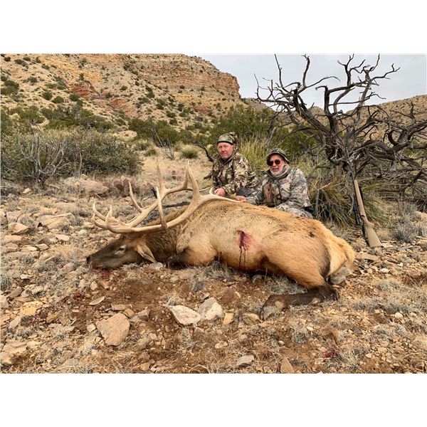 5 - DAY BULL ELK HUNT IN NEW MEXICO FOR 1 HUNTER AND 1 NON-HUNTER