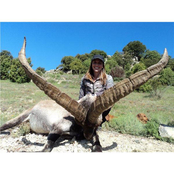 8 - DAY BECEITE IBEX HUNT FOR 1 OR 2 HUNTERS IN SPAIN