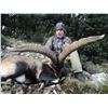 Image 4 : 8 - DAY BECEITE IBEX HUNT FOR 1 OR 2 HUNTERS IN SPAIN