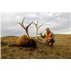 Image 7 : ALBERTA MINISTER’S SPECIAL ELK