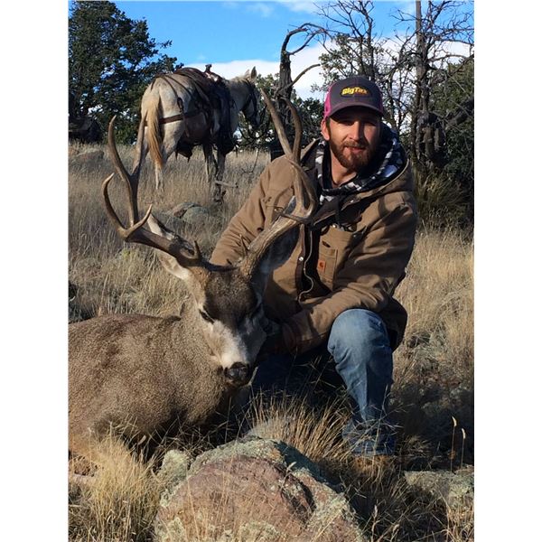 5 - DAY MULE DEER HUNT IN NEW MEXICO FOR 1 HUNTER