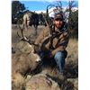 Image 1 : 5 - DAY MULE DEER HUNT IN NEW MEXICO FOR 1 HUNTER