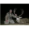 Image 2 : 5 - DAY MULE DEER HUNT IN NEW MEXICO FOR 1 HUNTER
