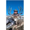 Image 3 : 5 - DAY MULE DEER HUNT IN NEW MEXICO FOR 1 HUNTER