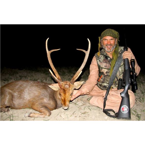 6 - DAY HOG DEER/INDIAN CRESTED BOAR/GOLDEN JACK HUNT FOR 1HUNTER IN PAKISTAN