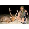 Image 1 : 6 - DAY HOG DEER/INDIAN CRESTED BOAR/GOLDEN JACK HUNT FOR 1HUNTER IN PAKISTAN