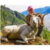 Image 4 : ALASKA CHUGACH DALL’S SHEEP PERMIT