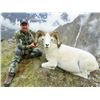 Image 5 : ALASKA CHUGACH DALL’S SHEEP PERMIT