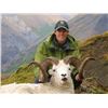 Image 7 : ALASKA CHUGACH DALL’S SHEEP PERMIT