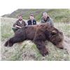 Image 10 : 12 - DAY SPRING KODIAK ISLAND BROWN BEAR HUNT FOR 1 HUNTER