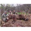 Image 3 : 12 - DAY SPRING KODIAK ISLAND BROWN BEAR HUNT FOR 1 HUNTER