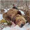 Image 7 : 12 - DAY SPRING KODIAK ISLAND BROWN BEAR HUNT FOR 1 HUNTER