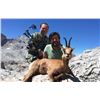 Image 1 : 4 - DAY CANTABRIAN CHAMOIS HUNT IN SPAIN FOR 1 HUNTER