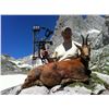 Image 2 : 4 - DAY CANTABRIAN CHAMOIS HUNT IN SPAIN FOR 1 HUNTER