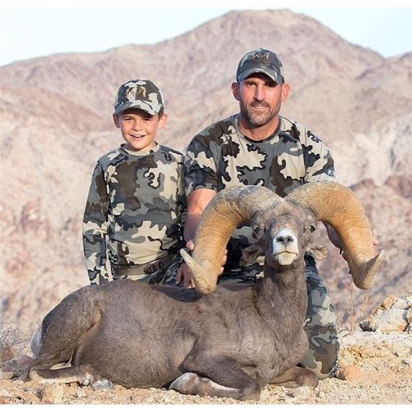 CALIFORNIA DESERT BIGHORN SHEEP (Open-Zone Tag)
