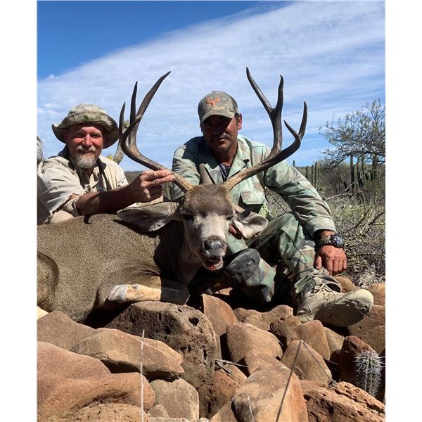 5 - DAY BAJA BLACKTAIL DEER HUNT IN SOUTH BAJA FOR 1 HUNTER AND1 NON-HUNTER