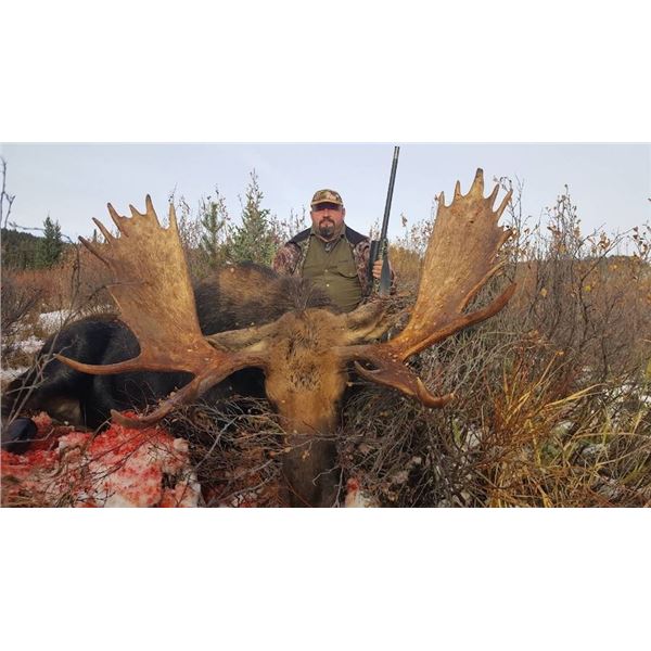 6 - DAY CANADIAN MOOSE HUNT FOR 1 HUNTER