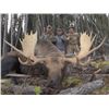 Image 2 : 6 - DAY CANADIAN MOOSE HUNT FOR 1 HUNTER