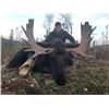 Image 3 : 6 - DAY CANADIAN MOOSE HUNT FOR 1 HUNTER