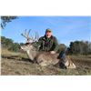 Image 2 : 4 - DAY TROPHY WHITETAIL BUCK UP TO 180” FOR 1 HUNTER AND 1 NON-HUNTER