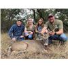 Image 3 : 4 - DAY TROPHY WHITETAIL BUCK UP TO 180” FOR 1 HUNTER AND 1 NON-HUNTER