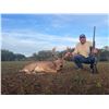 Image 5 : 4 - DAY TROPHY WHITETAIL BUCK UP TO 180” FOR 1 HUNTER AND 1 NON-HUNTER