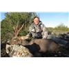 Image 1 : 3 - DAY FREE RANGE CUSTOMIZED HUNT - IBERIAN MOUFLON OR MOUNTAIN ROE BUCK FOR 1 HUNTER & 1 NON-HUNTE