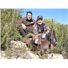 Image 5 : 3 - DAY FREE RANGE CUSTOMIZED HUNT - IBERIAN MOUFLON OR MOUNTAIN ROE BUCK FOR 1 HUNTER & 1 NON-HUNTE