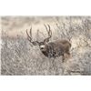 Image 2 : NEVADA UNIT 231 PRIVATE OWNERS’ DEER TAG - FOR 1 HUNTER
