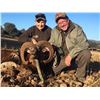 Image 2 : 3- DAY FREE RANGE IBERIAN MOUFLON SHEEP HUNT FOR 2 HUNTERS
