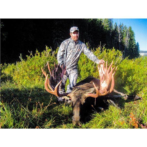 WYOMING GOVERNOR’S SHIRAS MOOSE LICENSE