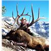 Image 2 : 8 -DAY BULL ELK HUNT IN WYOMING FOR 1 HUNTER