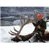 Image 3 : 8 -DAY BULL ELK HUNT IN WYOMING FOR 1 HUNTER