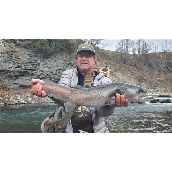 6 - DAY ALPINE CHAMOIS, ROE DEER, BOAR AND 5-DAYS FISHING FOR 1HUNTER & 1 NON-HUNTER