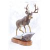 Image 1 : “DOMINION” MULE DEER BRONZE SCULPTURE #100/100